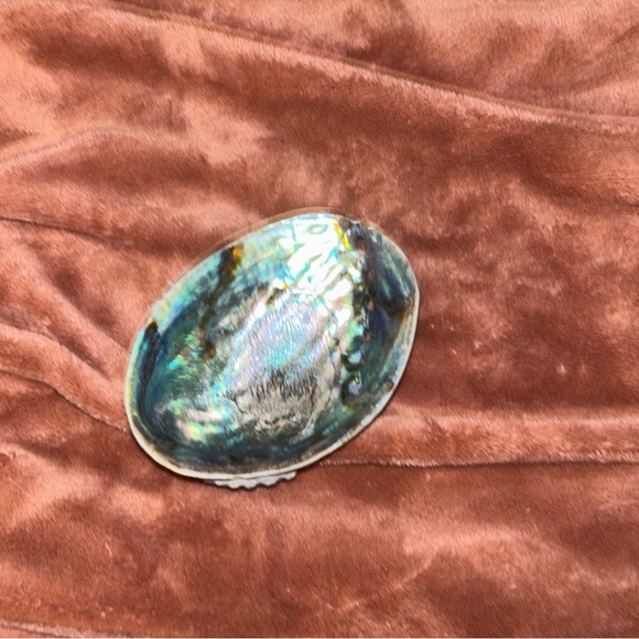 Conch Shell Catch-All - Iridescent & Natural - Picture 3 of 4